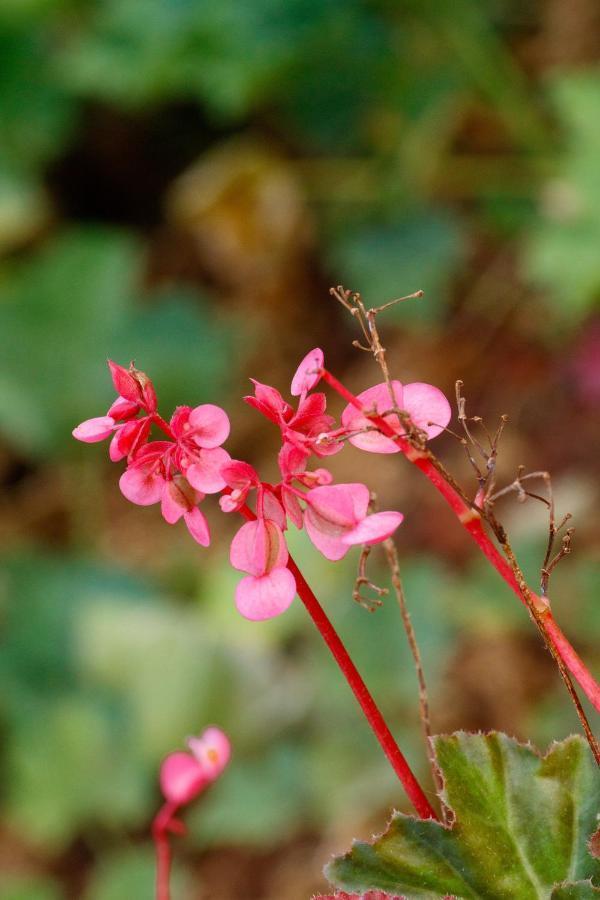 Sherbaug- A Theme Park And Resort Panchgani Bagian luar foto